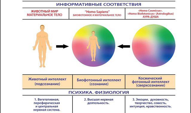 Гомосексуализм Связан С Психикой Или С Физиологией