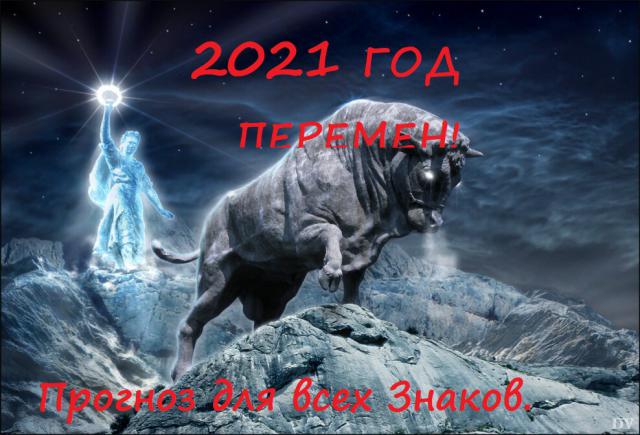   2021 .