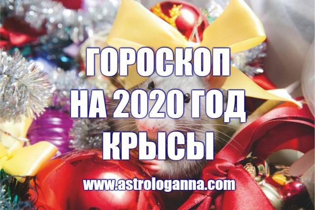 -  2020  